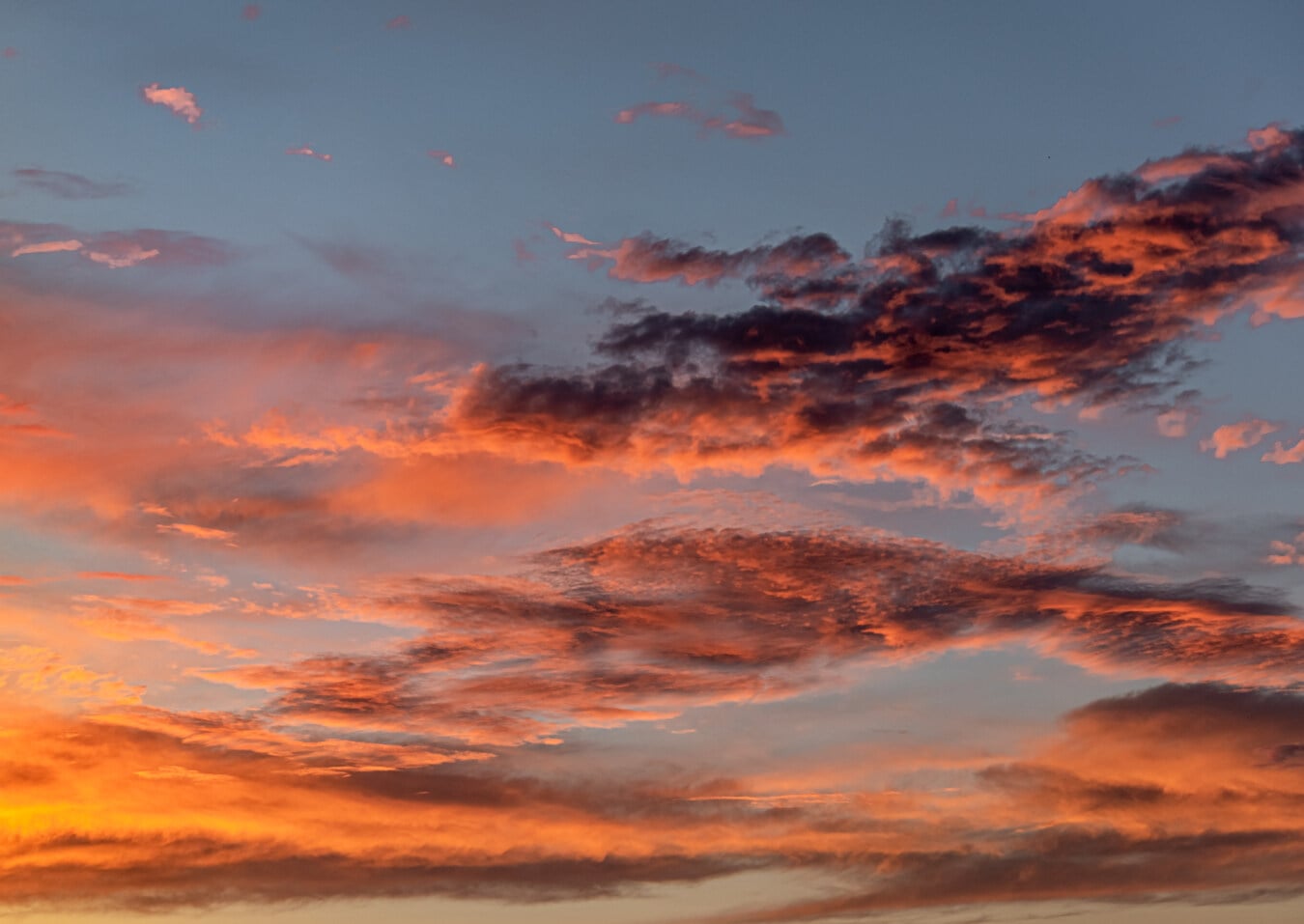 Pagi sebagai Jeda Lembut antara Diam dan Gerak